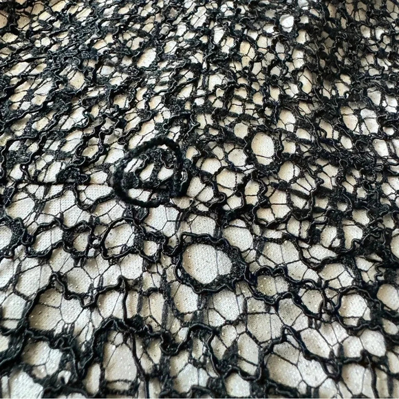 Alex Evenings All Over Lace A-Line Gown Dress Black Nude Size 14 - Picture 10 of 11